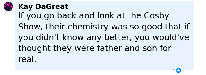 Comment about Cosby Show chemistry by Kay DaGreat, reflecting on Bill Cosby and Malcolm-Jamal Warner's connection. - 19