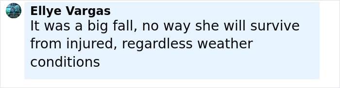 Comment by Ellye Vargas discussing the fatal fall of a tourist who fell into a volcano, mentioning injury and weather factors.