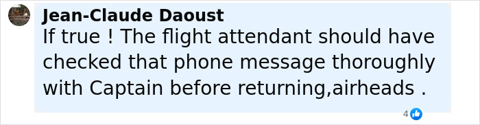 Comment on flight incident, discussing flight attendant checking phone message after passenger sparked scare on flight causing emergency landing.