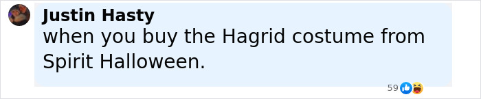 Comment joke about Hagrid costume from Spirit Halloween as Harry Potter fans roast Hagrid's first look in the upcoming series.
