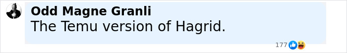 Comment by Odd Magne Granli saying The Temu version of Hagrid, referencing Harry Potter fans roasting Hagrid&rsquo;s first look in the upcoming series.