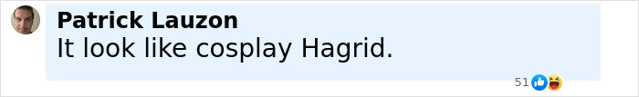 Comment by Patrick Lauzon criticizing Hagrid's first look cosplay from Harry Potter fans roasting the upcoming series.