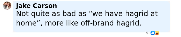 User comment from Jake Carson criticizing Hagrid's first look in the upcoming Harry Potter series as off-brand and less bad than a common meme.