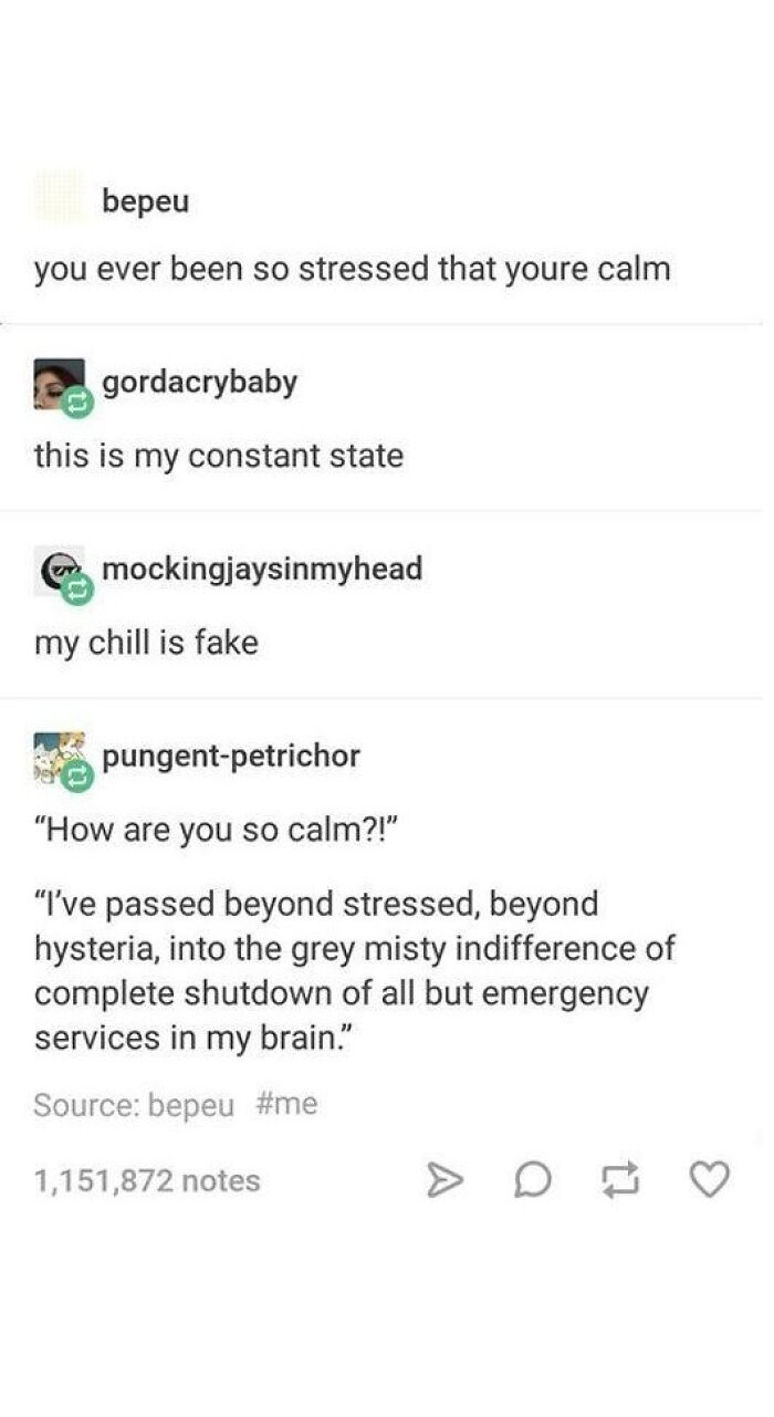 Tumblr posts showing relatable feelings of stress and calm in random, humorous conversations about mental state.