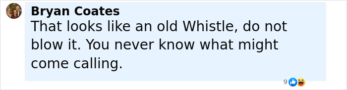 Comment by Bryan Coates warning not to blow an old whistle, referencing a mysterious call in an online discussion. Comment by Bryan Coates warning not to blow an old whistle, referencing a mysterious call in an online discussion.