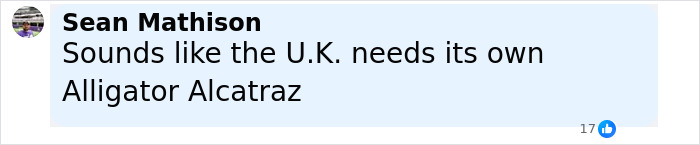 Passenger comments in a social media post discussing a plane threat incident involving a man and other passengers tackling him mid-flight.