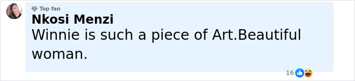 Comment praising Winnie Harlow as a living piece of artwork and a beautiful woman. - 17