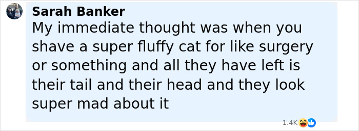 Comment from Sarah Banker comparing a shaved fluffy cat to post-surgery appearance, expressing amusement and surprise.