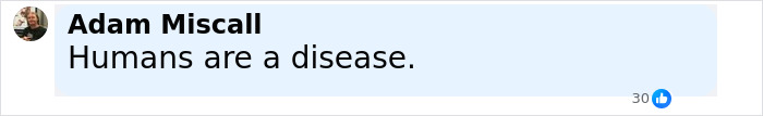 Facebook comment by Adam Miscall saying Humans are a disease, expressing disgust over trophy hunters and lion Blondie.