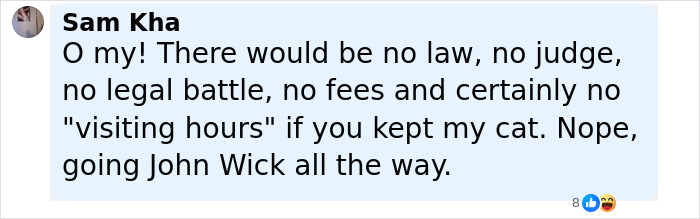 Social media comment about woman fighting two years to get pet cat back from friend after family emergency. - 15