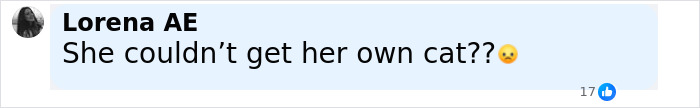 Comment text on social media showing a user questioning why a woman couldn’t get her own cat during a dispute over cat-sitting and pet custody. - 13