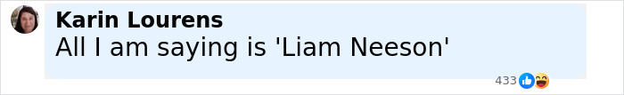 Screenshot of a social media comment saying all I am saying is Liam Neeson, with reactions visible. - 8