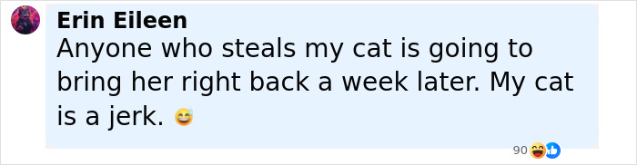 Social media comment from a woman joking about her cat being stolen and her hope to get the pet back quickly. - 12