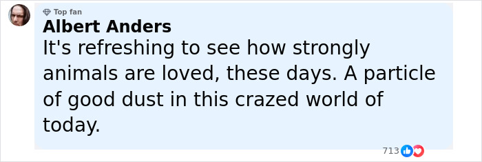 Comment from top fan Albert Anders reflecting on how strongly animals are loved in today’s world during a pet custody dispute. - 9