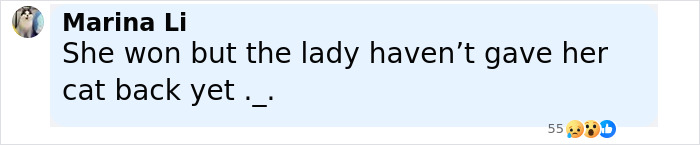 Comment on social media about woman fighting two years to get her cat back after asking friend to cat-sit during family emergency. - 11