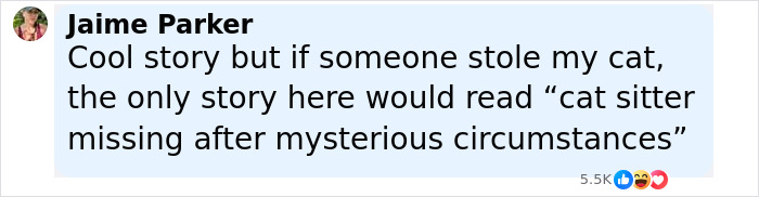 Comment by Jaime Parker discussing a cat sitter missing after mysterious circumstances amid family emergency. - 7