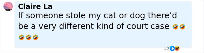 Comment about cat theft and court case, highlighting a dispute involving a woman fighting for her pet after a family emergency. - 14