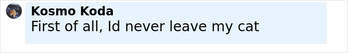 Comment saying never leaving cat, highlighting the struggle of a woman fighting to get her pet back after asking a friend to cat-sit. - 16