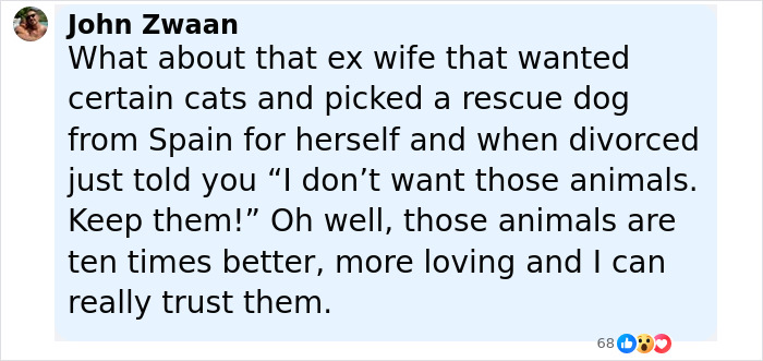 Social media comment discussing a woman asking a friend to cat-sit and the ensuing pet custody fight. - 10