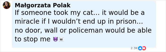Comment from woman about fighting to get cat back after friend agreed to cat-sit during family emergency. - 6