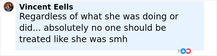 Comment by Vincent Eells expressing concern about mistreatment, highlighting that no one should be treated harshly. - 23