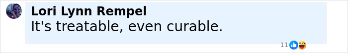 Comment by Lori Lynn Rempel saying It's treatable, even curable, related to Justin Timberlake Lyme disease battle. Comment by Lori Lynn Rempel saying It's treatable, even curable, related to Justin Timberlake Lyme disease battle.