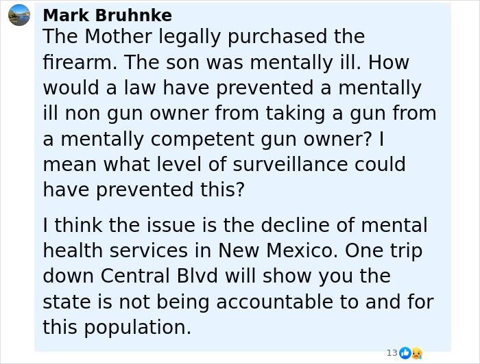 Comment discussing the mentally ill son and decline of mental health services related to family slaying incident.