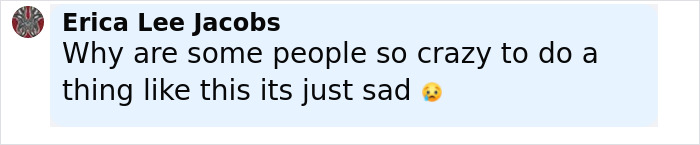 Comment from Erica Lee Jacobs expressing sadness about people doing crazy things, related to reality star charged with murder.