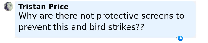 Facebook comment by Tristan Price questioning the lack of protective screens to prevent incidents and bird strikes at airports.