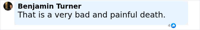 Comment by Benjamin Turner stating that the man's death after being sucked into a plane engine was very bad and painful.