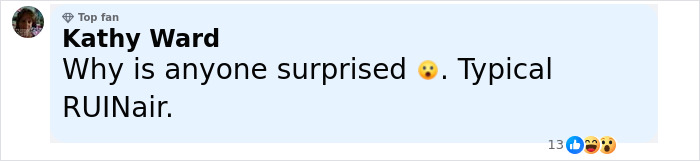 Comment by Kathy Ward expressing surprise and calling Ryanair typical RUINair after passenger drama over luggage size. - 30