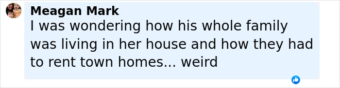 Comment from Meagan Mark discussing family living arrangements related to Denise Richards assault accusations. Comment from Meagan Mark discussing family living arrangements related to Denise Richards assault accusations.