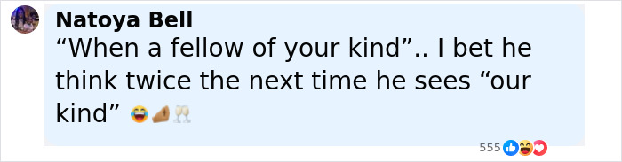 Comment from Natoya Bell reacting to a racist sinkhole warning incident involving color discrimination and instant karma.