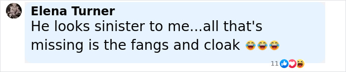 Comment on social media by Elena Turner, joking about someone looking sinister and missing fangs and a cloak, with laughing emojis.