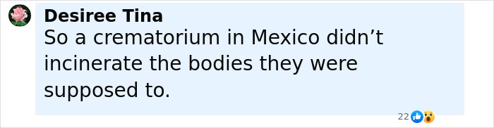 Comment from Desiree Tina questioning why a crematorium in Mexico didn’t incinerate the bodies as expected, discussing suspicious discovery. Comment from Desiree Tina questioning why a crematorium in Mexico didn’t incinerate the bodies as expected, discussing suspicious discovery.