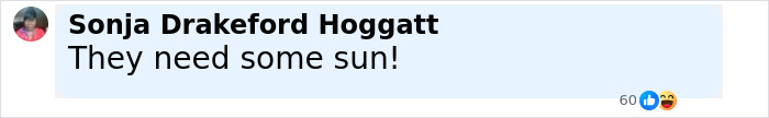 Comment by Sonja Drakeford Hoggatt saying they need some sun, discussing Pamela Anderson dating Liam Neeson for a while.