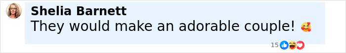 Comment by Shelia Barnett saying they would make an adorable couple with emojis, related to Pamela Anderson dating Liam Neeson.