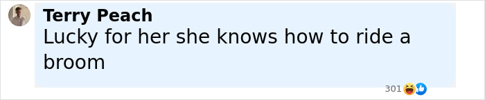 Comment by Terry Peach saying she knows how to ride a broom, referencing Emma Watson legal trouble and two-year ban. - 7