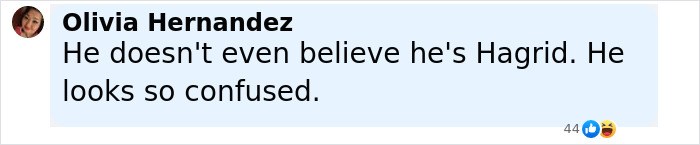 Comment by Olivia Hernandez criticizing Hagrid's first look in the upcoming Harry Potter series, calling him confused.