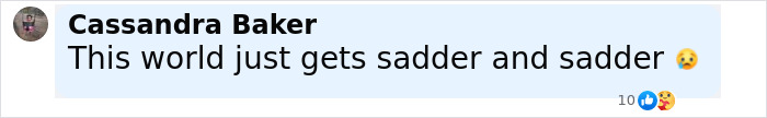 Comment by Cassandra Baker expressing sadness about a tragic incident involving a girl aged 6 and a 17-year-old shooter.