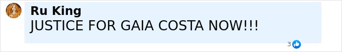 Comment demanding justice for Gaia Costa, related to family of babysitter fatally hit by wife of Lufthansa CEO.