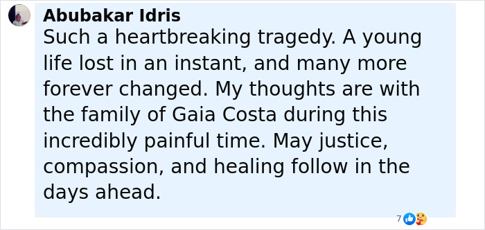 Comment expressing support for the family of babysitter fatally hit by wife of Lufthansa CEO during tragic loss.