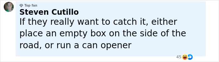 Comment suggesting to catch a mysterious figure by placing an empty box or running a can opener on the side of the road.