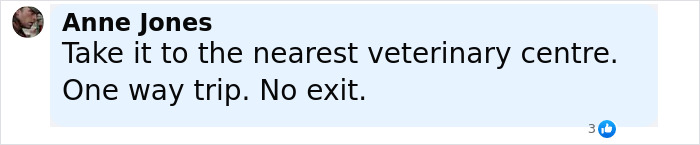 Comment by Anne Jones saying take it to the nearest veterinary centre in a social media message.