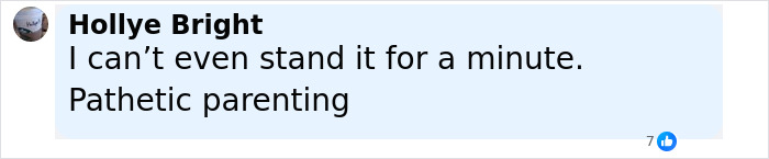 Comment by Hollye Bright expressing frustration about parenting, criticizing the situation involving police rescue of kids from a hot car. - 15