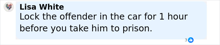 Comment on social media post about rescuing kids from hot car while dad was intoxicated at adult store, calling for offender punishment. - 19