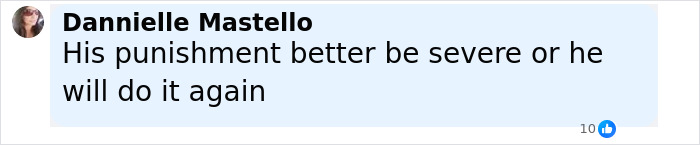 Comment by Dannielle Mastello expressing a call for severe punishment to prevent repeated offenses. - 18