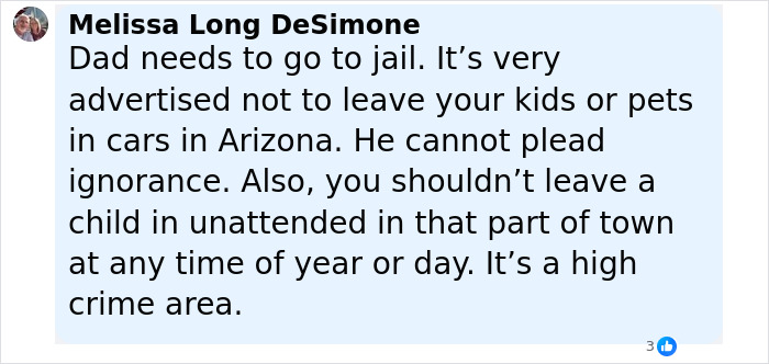 Comment expressing concern over leaving kids unattended in hot cars in a high crime area, related to police rescue incident. - 14