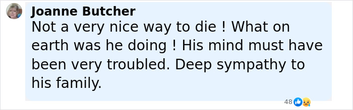 Comment from Joanne Butcher expressing sympathy and mentioning troubled mind in plane engine incident aftermath.