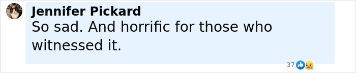 Comment by Jennifer Pickard expressing sorrow and horror for witnesses of a man sucked into plane engine incident.